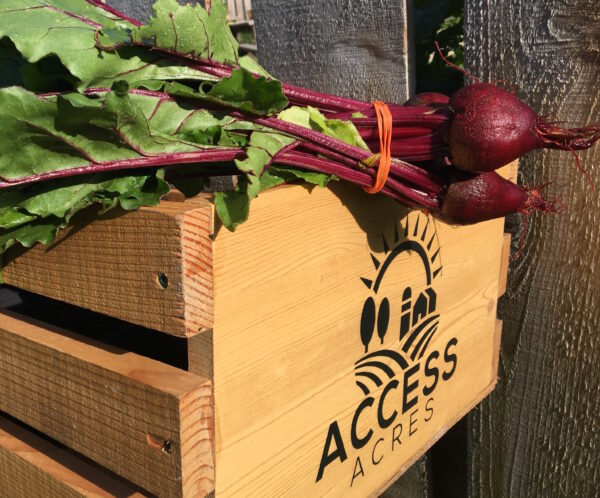 red beets