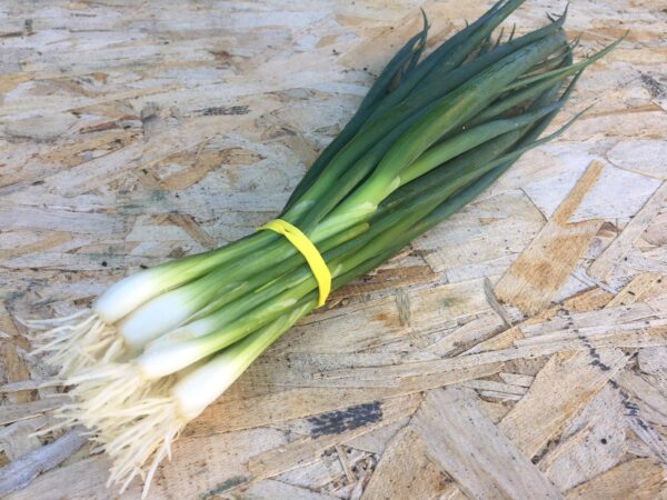 green onion