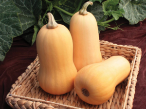 winter harvest veggie box